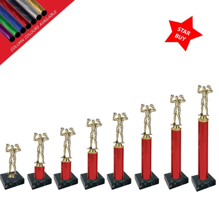 BOXING FIGURE COLUMN TROPHY